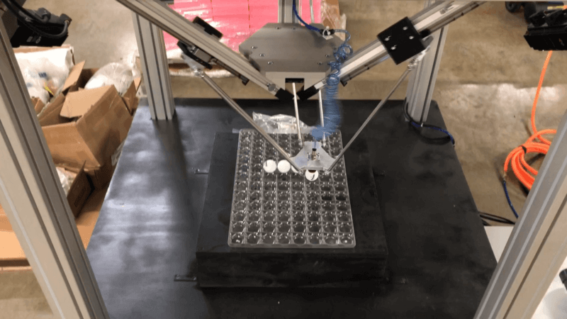 News Macron Dynamics